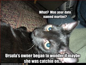 What?  Was your date named martini?