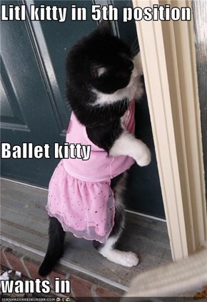 Litl kitty in 5th position Ballet kitty wants in