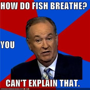 HOW DO FISH BREATHE? YOU CAN'T EXPLAIN THAT.