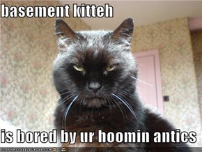 basement kitteh  is bored by ur hoomin antics