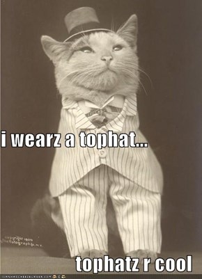 i wearz a tophat... tophatz r cool