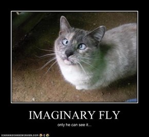 IMAGINURRY FLURRR