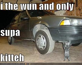 i the wun and only supa kitteh