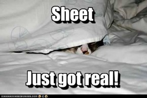 Sheet   Just got real!