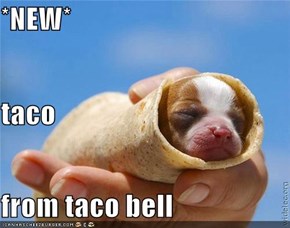 *NEW* taco from taco bell