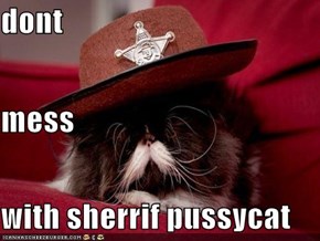 dont  mess with sherrif pussycat