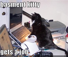 basment kitty  gets a job