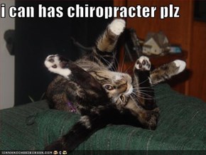 i can has chiropracter plz