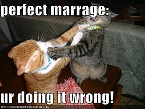 perfect marrage:  ur doing it wrong!