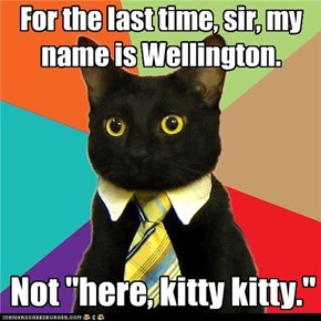 For the last time, sir, my name is Wellington.