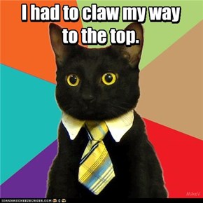 I had to claw my way to the top.