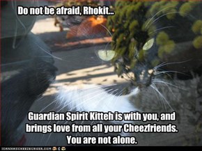 Do not be afraid, Rhokit...