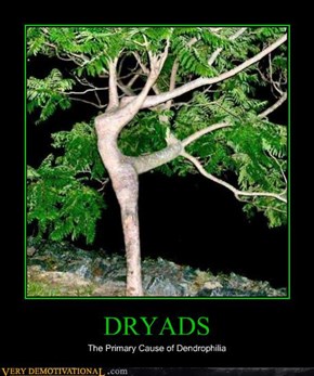 DRYADS