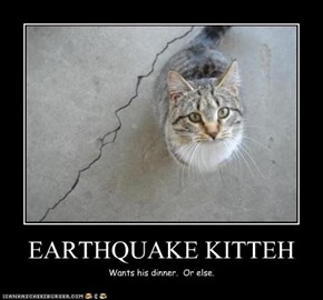 EARTHQUAKE KITTEH