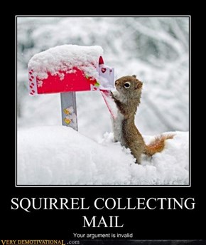 SQUIRREL COLLECTING MAIL