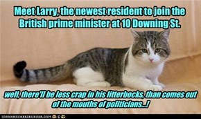 Larry the, Downing St. cat!!
