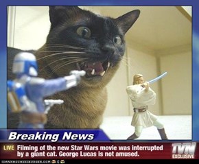 Breaking News - Filming of the new Star Wars movie was interrupted by a giant cat. George Lucas is not amused.