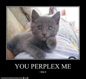 YOU PERPLEX ME