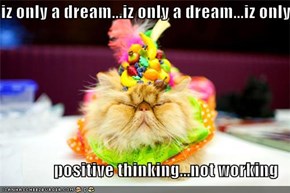 iz only a dream...iz only a dream...iz only a  positive thinking...not working