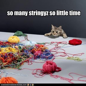 so many stringyz