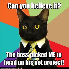 Business Cat: Good news