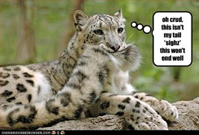not my tail