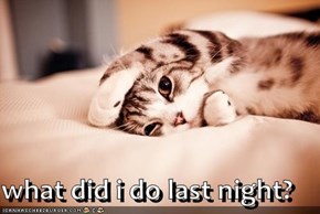 what did i do last night?