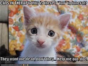 CATS IN THERAPY: Why is there a "fun" in funeral?  They want me dead, don't they... Help me out, doc.