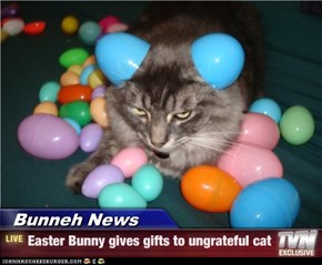 Bunneh News - Easter Bunny gives gifts to ungrateful cat