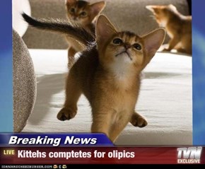 Breaking News - Kittehs comptetes for olipics