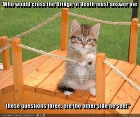 "Who would cross the Bridge of Death must answer me  these questions three, ere the other side he see!"