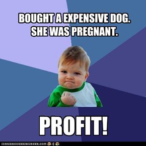 Profit!