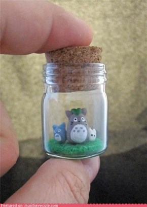 Totoro Preserves