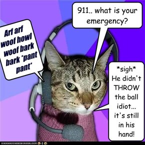 911.. what is your emergency?