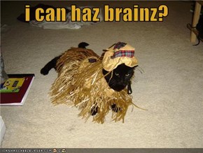 i can haz brainz?
