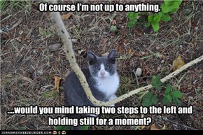Of course I'm not up to anything.           ....would you mind taking two steps to the left and holding still for a moment?