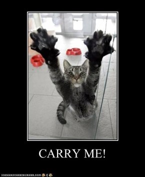 CARRY ME!