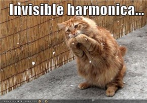 Invisible harmonica...