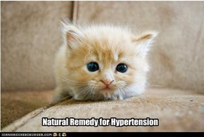 Natural Remedy for Hypertension