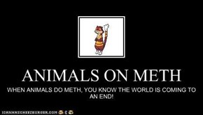 ANIMALS ON METH