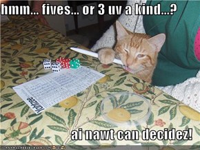 hmm... fives... or 3 uv a kind...?  ai nawt can decidez!