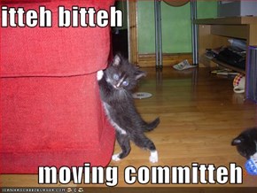 itteh bitteh  moving committeh