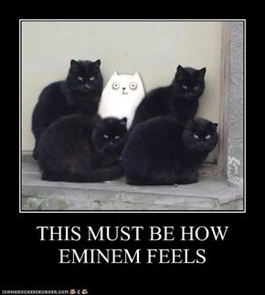 THIS MUST BE HOW EMINEM FEELS