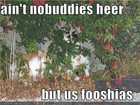 ain't nobuddies heer  but us fooshias