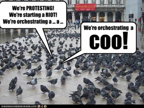 We're PROTESTING! We're starting a RIOT! We're orchestrating a ... a ...