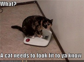 What?  A cat needs to look fit to ya know