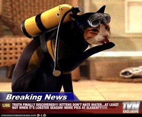 Breaking News - TRUTH FINALLY DISCOVERED!!! KITTEHS DON'T HATE WATER...AT LEAST NOT WHEN IT'S LOBSTER SEASON! MORE PICS AT ELEBENTY!!!!!