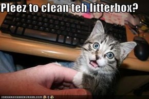Pleez to clean teh litterbox?