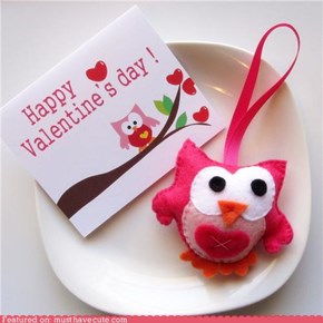 Love Owl