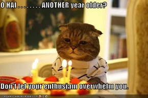 O HAI . . . . . . . . ANOTHER year older?  Don't let your enthusiam overwhelm you.